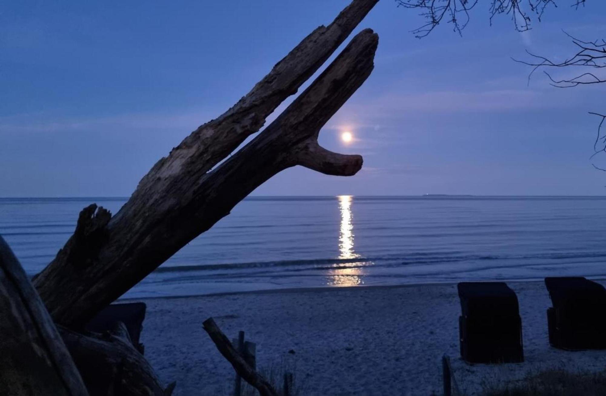 Traumhaftes Appartement - Odins Blick Wohnung 13 , Sauna Und Privatstrand, Blick Zur Ostsee ลอบเบอ ภายนอก รูปภาพ